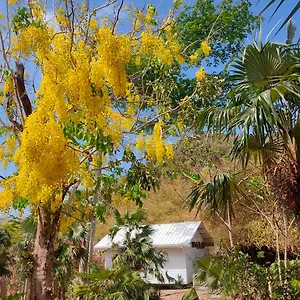 https://animal-paradise.sanandreshotels.com